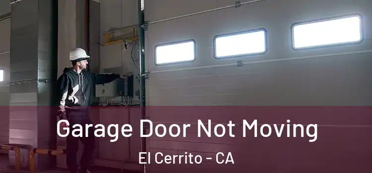  Garage Door Not Moving El Cerrito - CA
